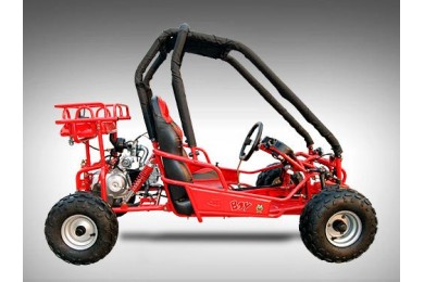 90cc Offroad Dune Buggy Quad ATV Teen Twin Seat Gokart Kids  Under 12yrs 110/125