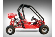 90cc Offroad Dune Buggy Quad ATV Teen Twin Seat Gokart Kids  Under 12yrs 110/125