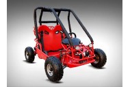 90cc Offroad Dune Buggy Quad ATV Teen Twin Seat Gokart Kids  Under 12yrs 110/125