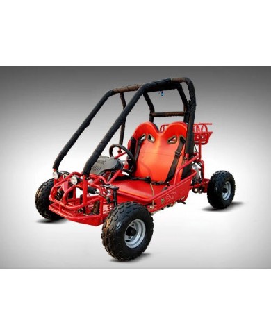 90cc Offroad Dune Buggy Quad ATV Teen Twin Seat Gokart Kids  Under 12yrs 110/125