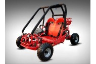 90cc Offroad Dune Buggy Quad ATV Teen Twin Seat Gokart Kids  Under 12yrs 110/125