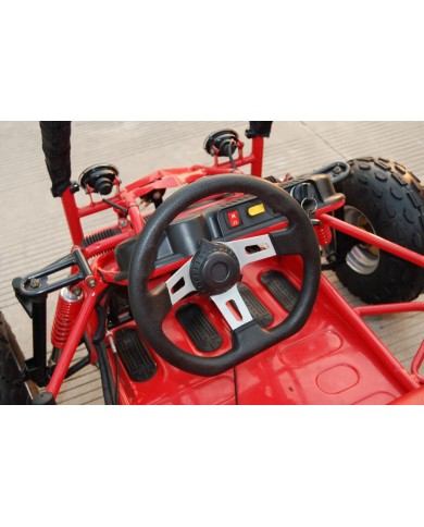 90cc Offroad Dune Buggy Quad ATV Teen Twin Seat Gokart Kids  Under 12yrs 110/125