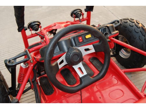 90cc Offroad Dune Buggy Quad ATV Teen Twin Seat Gokart Kids  Under 12yrs 110/125
