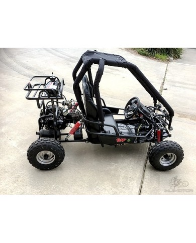 90cc Offroad Dune Buggy Quad ATV Teen Twin Seat Gokart Kids  Under 12yrs 110/125