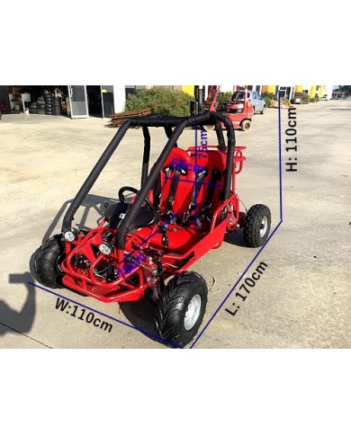 90cc Offroad Dune Buggy Quad ATV Teen Twin Seat Gokart Kids  Under 12yrs 110/125