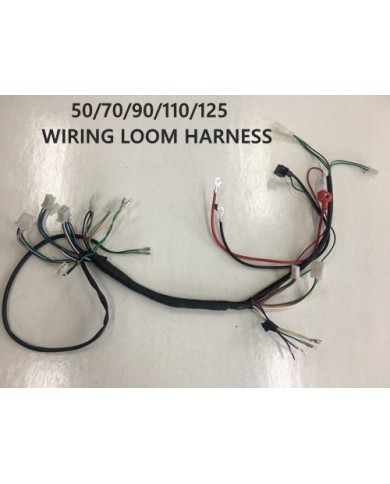 Electric Start Wiring Harness Loom 50cc 110cc 125cc QUAD DIRT BIKE ATV Buggy
