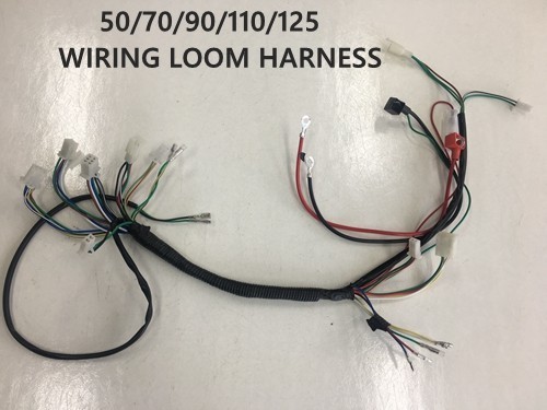 Electric Start Wiring Harness Loom 50cc 110cc 125cc QUAD DIRT BIKE ATV Buggy
