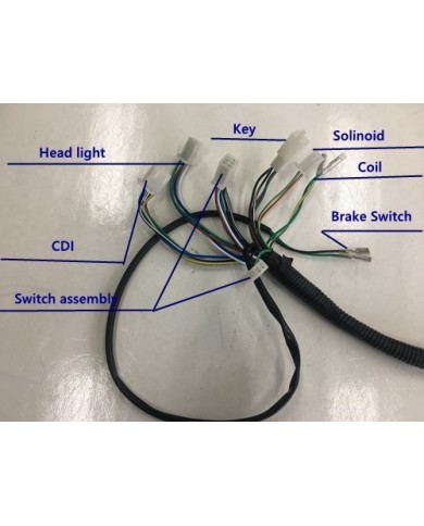 Electric Start Wiring Harness Loom 50cc 110cc 125cc QUAD DIRT BIKE ATV Buggy