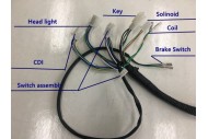 Electric Start Wiring Harness Loom 50cc 110cc 125cc QUAD DIRT BIKE ATV Buggy