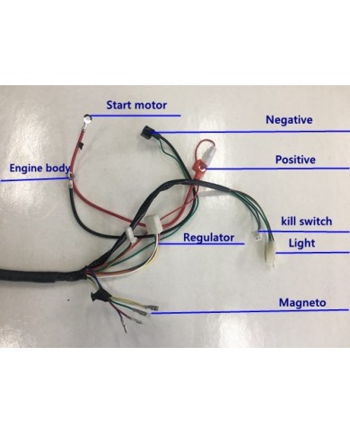 Electric Start Wiring Harness Loom 50cc 110cc 125cc QUAD DIRT BIKE ATV Buggy