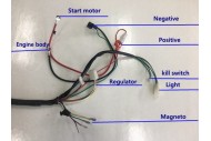 Electric Start Wiring Harness Loom 50cc 110cc 125cc QUAD DIRT BIKE ATV Buggy
