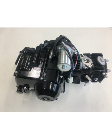25cc 3+1 Semi Auto + Reverse Engine Motor PIT QUAD DIRT BIKE ATV DUNE BUGGY
