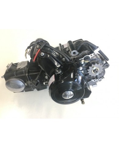 25cc 3+1 Semi Auto + Reverse Engine Motor PIT QUAD DIRT BIKE ATV DUNE BUGGY