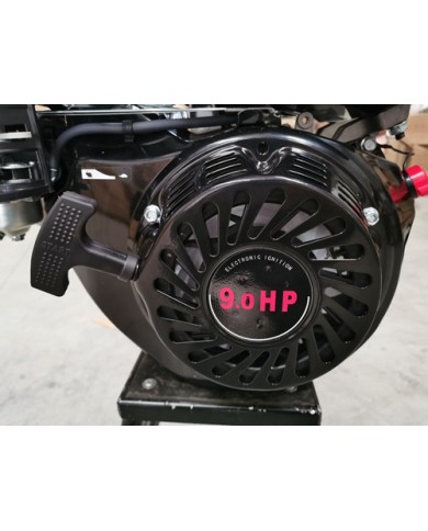 9HP 2:1 Reduction Gear Box Stationary Motor Engine Wet Clutch 4 Go Kart Trike