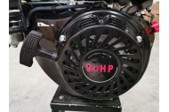 9HP 2:1 Reduction Gear Box Stationary Motor Engine Wet Clutch 4 Go Kart Trike