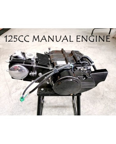 125cc 4 Stroke Manual Clutch Gear Engine Motor PIT PRO TRAIL DIRT BIKE ATV KART