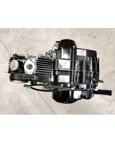 125cc 4 Stroke Manual Clutch Gear Engine Motor PIT PRO TRAIL DIRT BIKE ATV KART