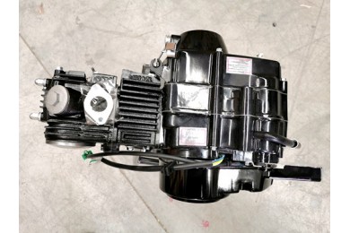 125cc 4 Stroke Manual Clutch Gear Engine Motor PIT PRO TRAIL DIRT BIKE ATV KART