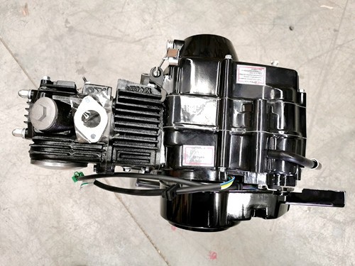 125cc 4 Stroke Manual Clutch Gear Engine Motor PIT PRO TRAIL DIRT BIKE ATV KART