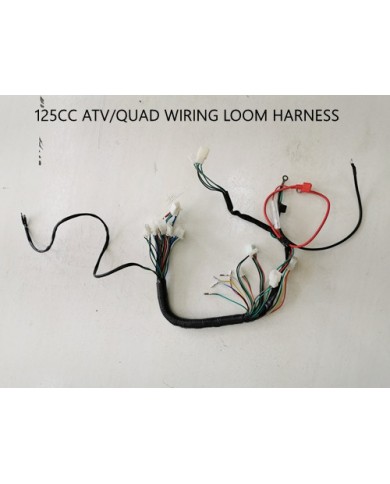 Electric Start Wiring Harness Loom 50cc 110cc 125cc QUAD DIRT BIKE ATV Buggy