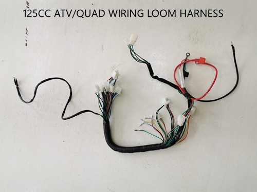 Electric Start Wiring Harness Loom 50cc 110cc 125cc QUAD DIRT BIKE ATV Buggy
