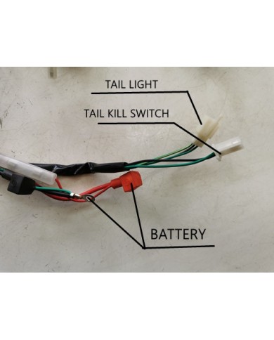 Electric Start Wiring Harness Loom 50cc 110cc 125cc QUAD DIRT BIKE ATV Buggy