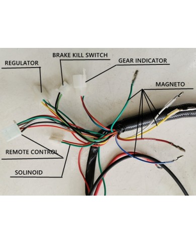 Electric Start Wiring Harness Loom 50cc 110cc 125cc QUAD DIRT BIKE ATV Buggy