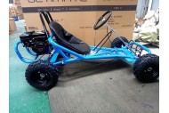 200CC 6.5HP Go Kart Dune Buggy QUAD 4 Stroke Upgraded Adult/Kids Sizes