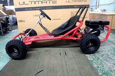 200CC 6.5HP Go Kart Dune Buggy QUAD 4 Stroke Upgraded Adult/Kids Sizes