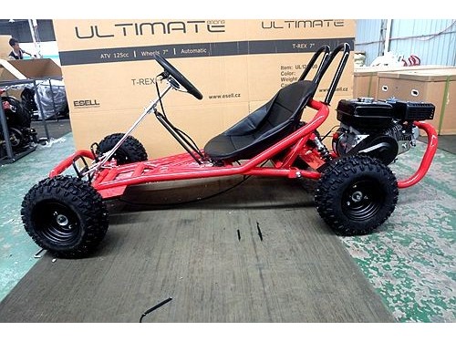 200CC 6.5HP Go Kart Dune Buggy QUAD 4 Stroke Upgraded Adult/Kids Sizes