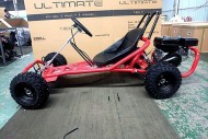 200CC 6.5HP Go Kart Dune Buggy QUAD 4 Stroke Upgraded Adult/Kids Sizes