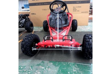 200CC 6.5HP Go Kart Dune Buggy QUAD 4 Stroke Upgraded Adult/Kids Sizes