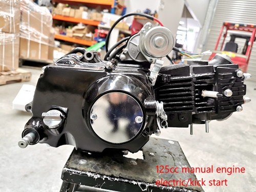 125cc 4 Stroke Manual Clutch Gear Engine Motor Electric Kick Start Dirt Pit Bike