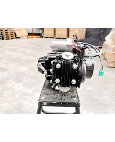 125cc 4 Stroke Manual Clutch Gear Engine Motor Electric Kick Start Dirt Pit Bike