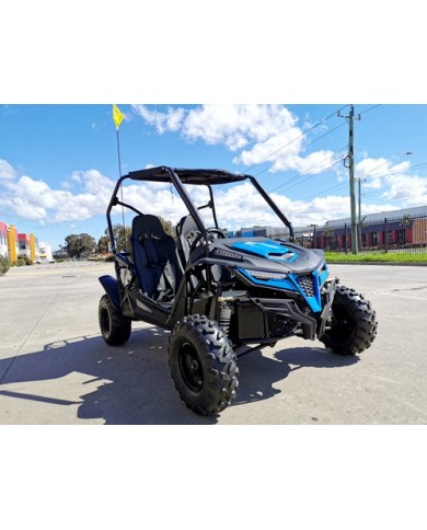 208CC 7.5HPDune Buggy UTV ATV Sport Quad Dirt Bike 4 Wheel Go kart Auto FORZA 3