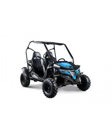 208CC 7.5HPDune Buggy UTV ATV Sport Quad Dirt Bike 4 Wheel Go kart Auto FORZA 3