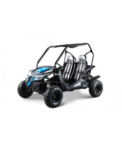 208CC 7.5HPDune Buggy UTV ATV Sport Quad Dirt Bike 4 Wheel Go kart Auto FORZA 3