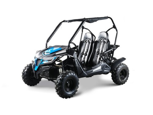 208CC 7.5HPDune Buggy UTV ATV Sport Quad Dirt Bike 4 Wheel Go kart Auto FORZA 3