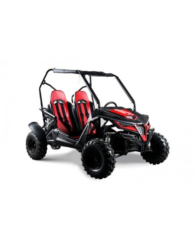208CC 7.5HPDune Buggy UTV ATV Sport Quad Dirt Bike 4 Wheel Go kart Auto FORZA 3