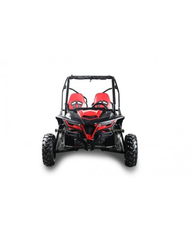 208CC 7.5HPDune Buggy UTV ATV Sport Quad Dirt Bike 4 Wheel Go kart Auto FORZA 3