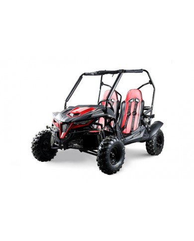208CC 7.5HPDune Buggy UTV ATV Sport Quad Dirt Bike 4 Wheel Go kart Auto FORZA 3