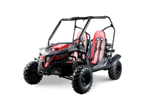 208CC 7.5HPDune Buggy UTV ATV Sport Quad Dirt Bike 4 Wheel Go kart Auto FORZA 3