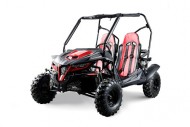 208CC 7.5HPDune Buggy UTV ATV Sport Quad Dirt Bike 4 Wheel Go kart Auto FORZA 3