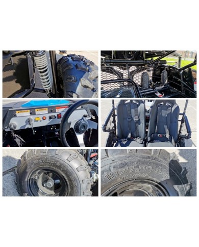 208CC 7.5HPDune Buggy UTV ATV Sport Quad Dirt Bike 4 Wheel Go kart Auto FORZA 3