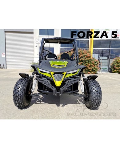 200CC GY6 Dune Buggy UTV ATV Sport Quad Dirt Bike 4 Wheel Go kart Auto FORZA 5