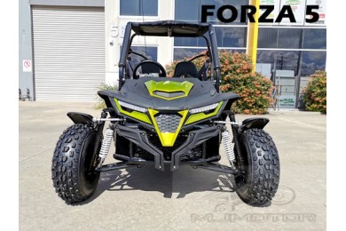 200CC GY6 Dune Buggy UTV ATV Sport Quad Dirt Bike 4 Wheel Go kart Auto FORZA 5