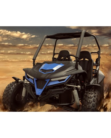 200CC GY6 Dune Buggy UTV ATV Sport Quad Dirt Bike 4 Wheel Go kart Auto FORZA 5