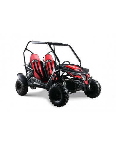 200CC GY6 Dune Buggy UTV ATV Sport Quad Dirt Bike 4 Wheel Go kart Auto FORZA 5