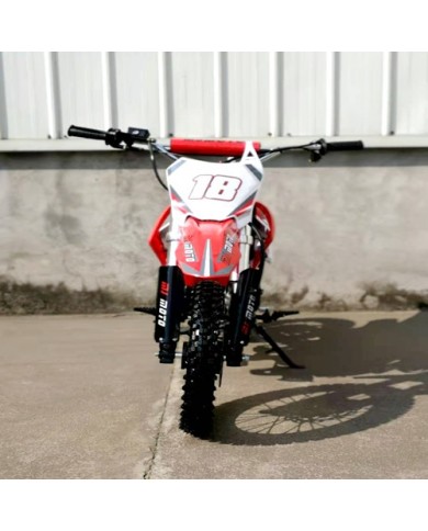 110cc Dirt Bike Trail Pit Bike Motor Electric Start Semi Auto Junior Bike Kid Green