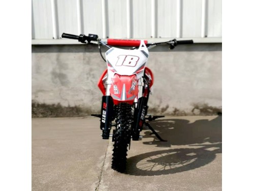 110cc Dirt Bike Trail Pit Bike Motor Electric Start Semi Auto Junior Bike Kid Green